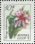 Stamp Soviet Union Catalog number: 3970