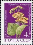 Stamp Soviet Union Catalog number: 3990