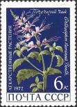 Stamp Soviet Union Catalog number: 3991