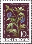 Stamp Soviet Union Catalog number: 3992