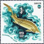 Stamp Soviet Union Catalog number: 4376