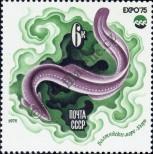 Stamp Soviet Union Catalog number: 4378