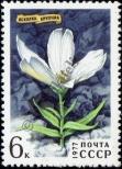 Stamp Soviet Union Catalog number: 4595