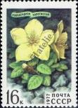 Stamp Soviet Union Catalog number: 4596
