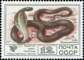 Stamp Soviet Union Catalog number: 4682