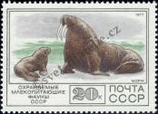 Stamp Soviet Union Catalog number: 4684