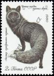 Stamp Soviet Union Catalog number: 4968