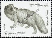 Stamp Soviet Union Catalog number: 4969