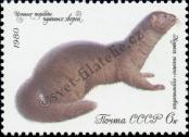 Stamp Soviet Union Catalog number: 4970