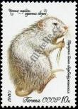 Stamp Soviet Union Catalog number: 4971