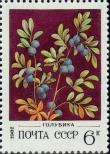 Stamp Soviet Union Catalog number: 5156