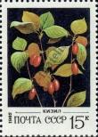 Stamp Soviet Union Catalog number: 5158