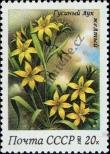 Stamp Soviet Union Catalog number: 5282