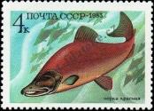 Stamp Soviet Union Catalog number: 5294