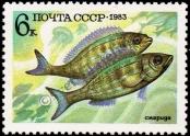 Stamp Soviet Union Catalog number: 5295
