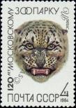 Stamp Soviet Union Catalog number: 5358