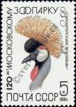 Stamp Soviet Union Catalog number: 5359