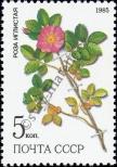 Stamp Soviet Union Catalog number: 5530