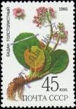Stamp Soviet Union Catalog number: 5532