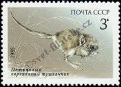 Stamp Soviet Union Catalog number: 5538