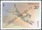 Stamp Soviet Union Catalog number: 5540