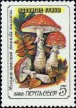 Stamp Soviet Union Catalog number: 5604