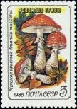 Stamp Soviet Union Catalog number: 5604