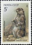 Stamp Soviet Union Catalog number: 5711