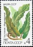 Stamp Soviet Union Catalog number: 5729