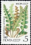 Stamp Soviet Union Catalog number: 5730