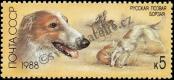 Stamp Soviet Union Catalog number: 5827