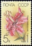 Stamp Soviet Union Catalog number: 5931