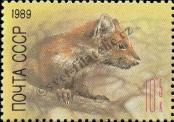 Stamp Soviet Union Catalog number: 5935