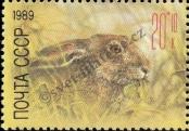 Stamp Soviet Union Catalog number: 5937