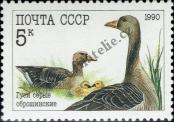 Stamp Soviet Union Catalog number: 6102