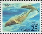 Stamp Soviet Union Catalog number: 6131