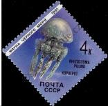 Stamp Soviet Union Catalog number: 6158
