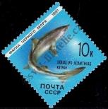 Stamp Soviet Union Catalog number: 6160