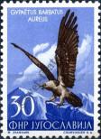 Stamp Yugoslavia Catalog number: 744