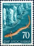 Stamp Yugoslavia Catalog number: 748