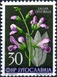 Stamp Yugoslavia Catalog number: 770