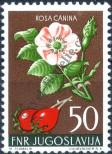 Stamp Yugoslavia Catalog number: 771