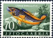 Stamp Yugoslavia Catalog number: 802