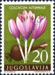 Stamp Yugoslavia Catalog number: 814