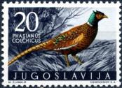 Stamp Yugoslavia Catalog number: 844