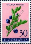 Stamp Yugoslavia Catalog number: 886