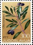 Stamp Yugoslavia Catalog number: 1512