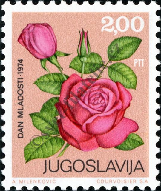 Catalog number: 1560