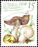 Stamp German Democratic Republic Catalog number: 2553