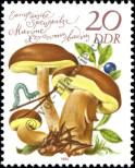 Stamp German Democratic Republic Catalog number: 2554